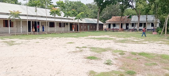 image-here